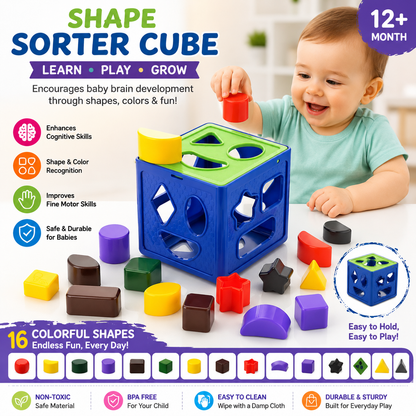 Shape Sorter Cube with Colorful Blocks